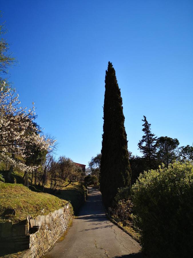 La Vivagna - Casa Vista Mare Tra Gli Ulivi Villa Leivi Екстериор снимка