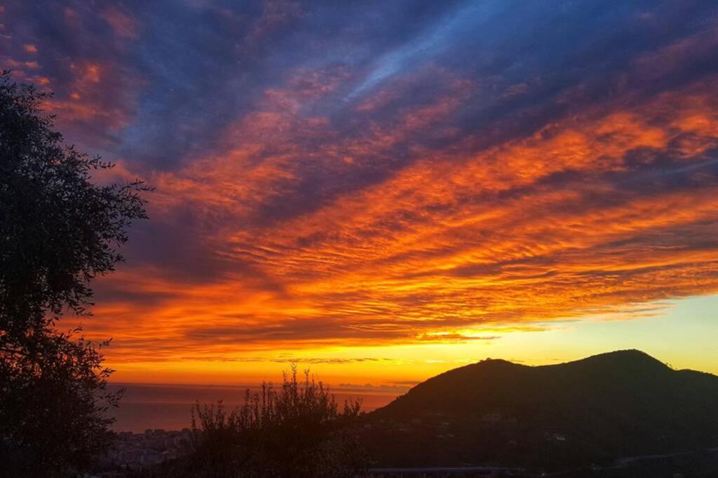 La Vivagna - Casa Vista Mare Tra Gli Ulivi Villa Leivi Екстериор снимка