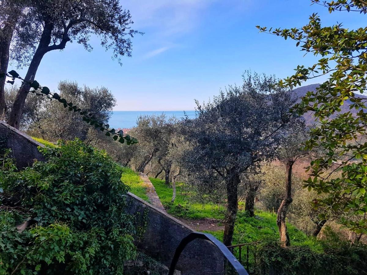 La Vivagna - Casa Vista Mare Tra Gli Ulivi Villa Leivi Екстериор снимка