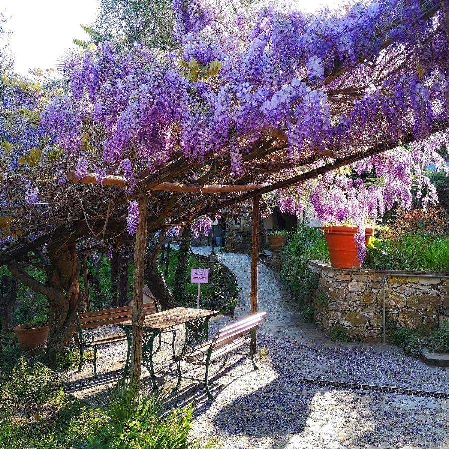 La Vivagna - Casa Vista Mare Tra Gli Ulivi Villa Leivi Екстериор снимка
